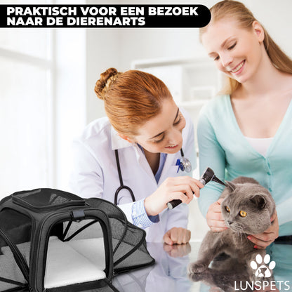 Zwart
